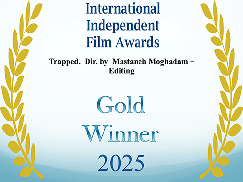 Best Editing- Alex Bromberg - GOLD